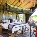 luxury safari experiences