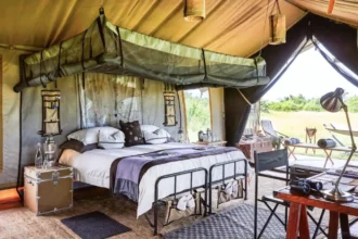 luxury safari experiences