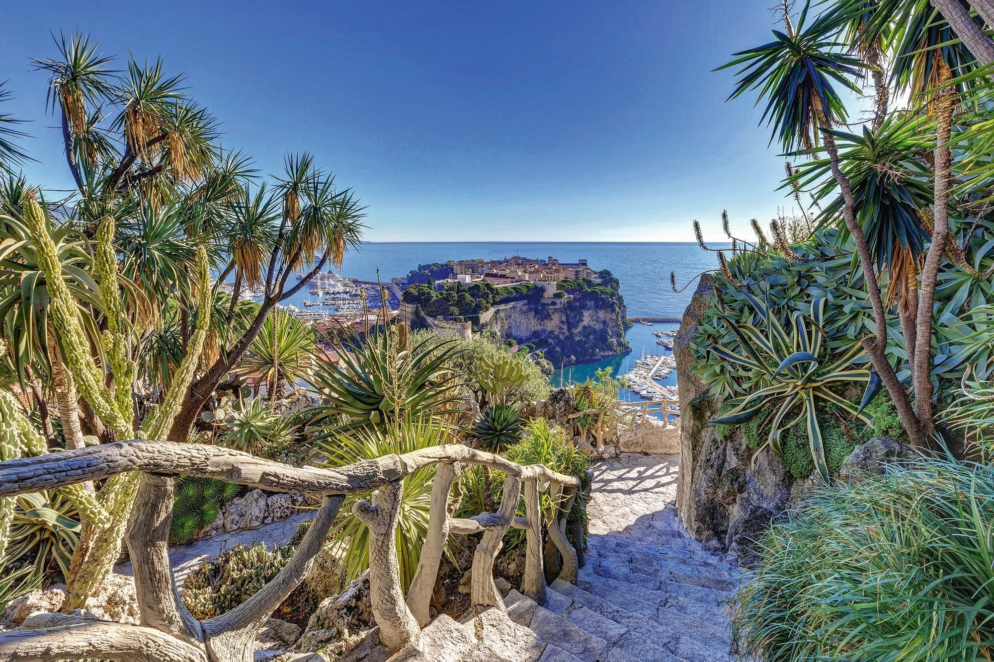 The Rock and harbours of Monaco viewed through the Exotic Garden