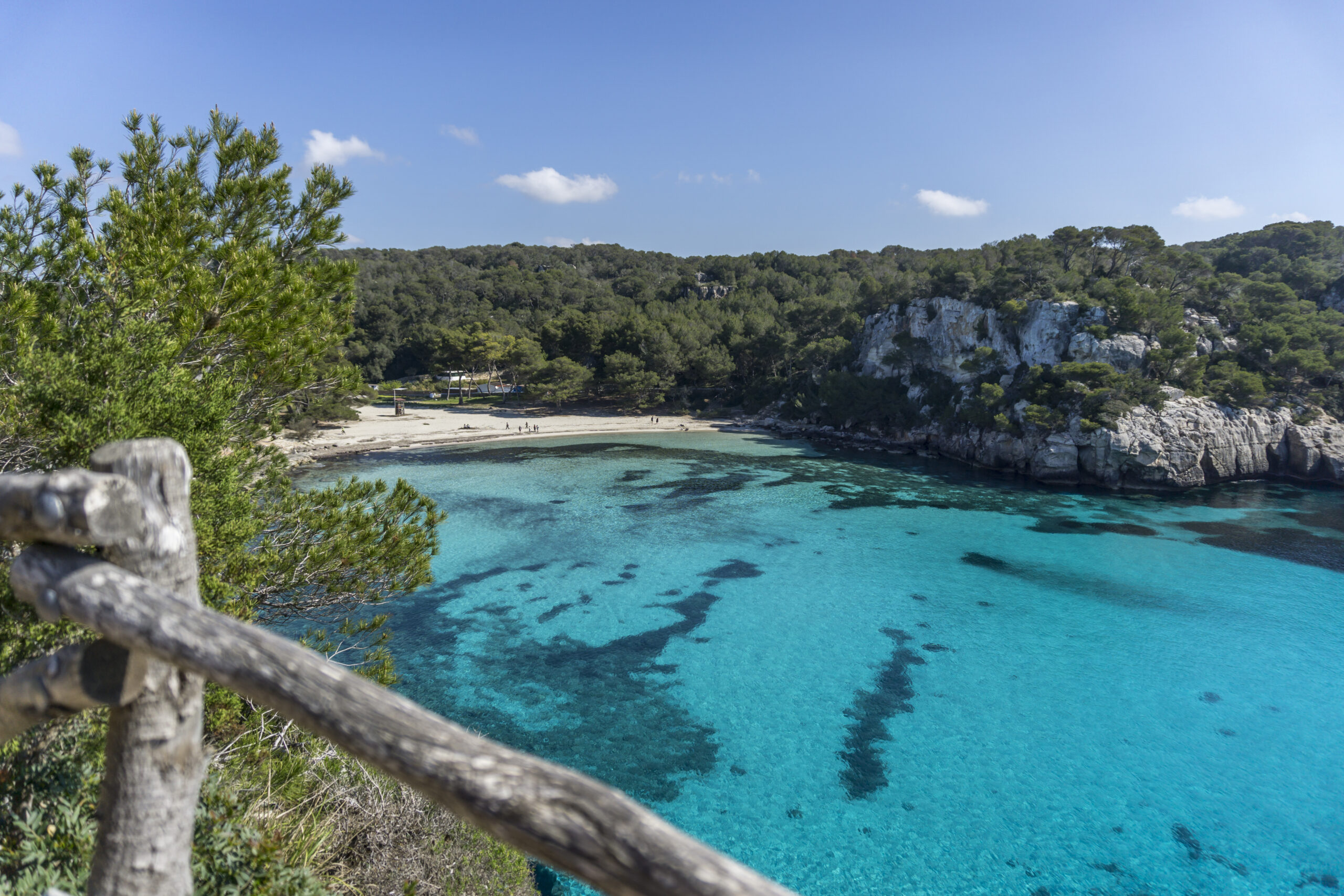 Turquoise water and pine-fringed cliffs at Cala Macarella on Menorca