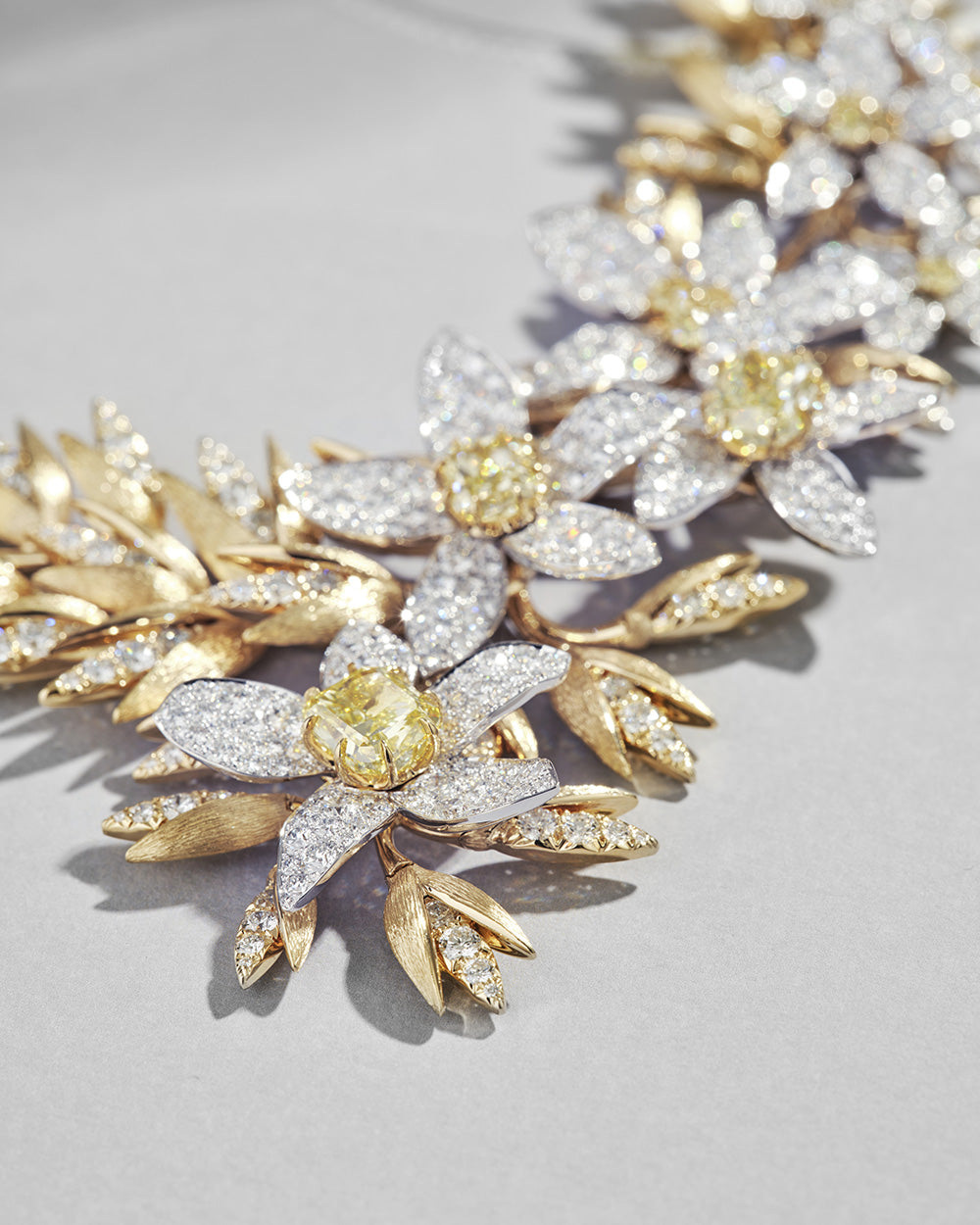 Closer view of the contrasting gold elements of Oat and Field Star