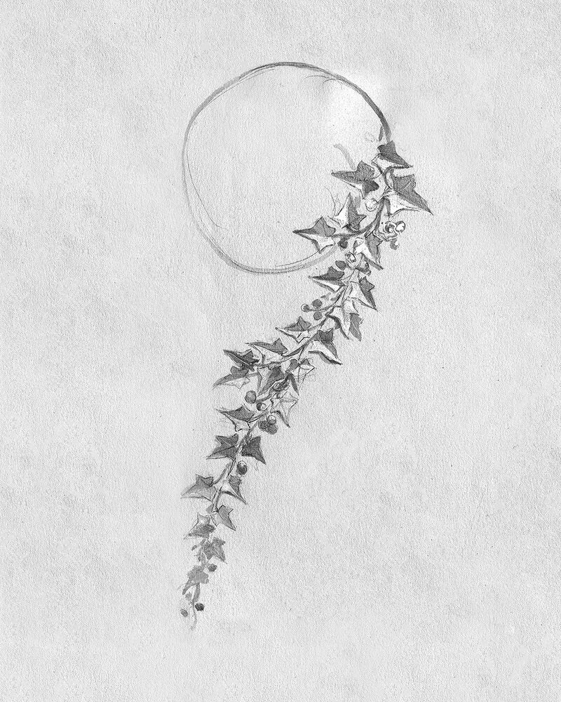 Archival drawing for The Untamed, dated 1879 by Boucheron
