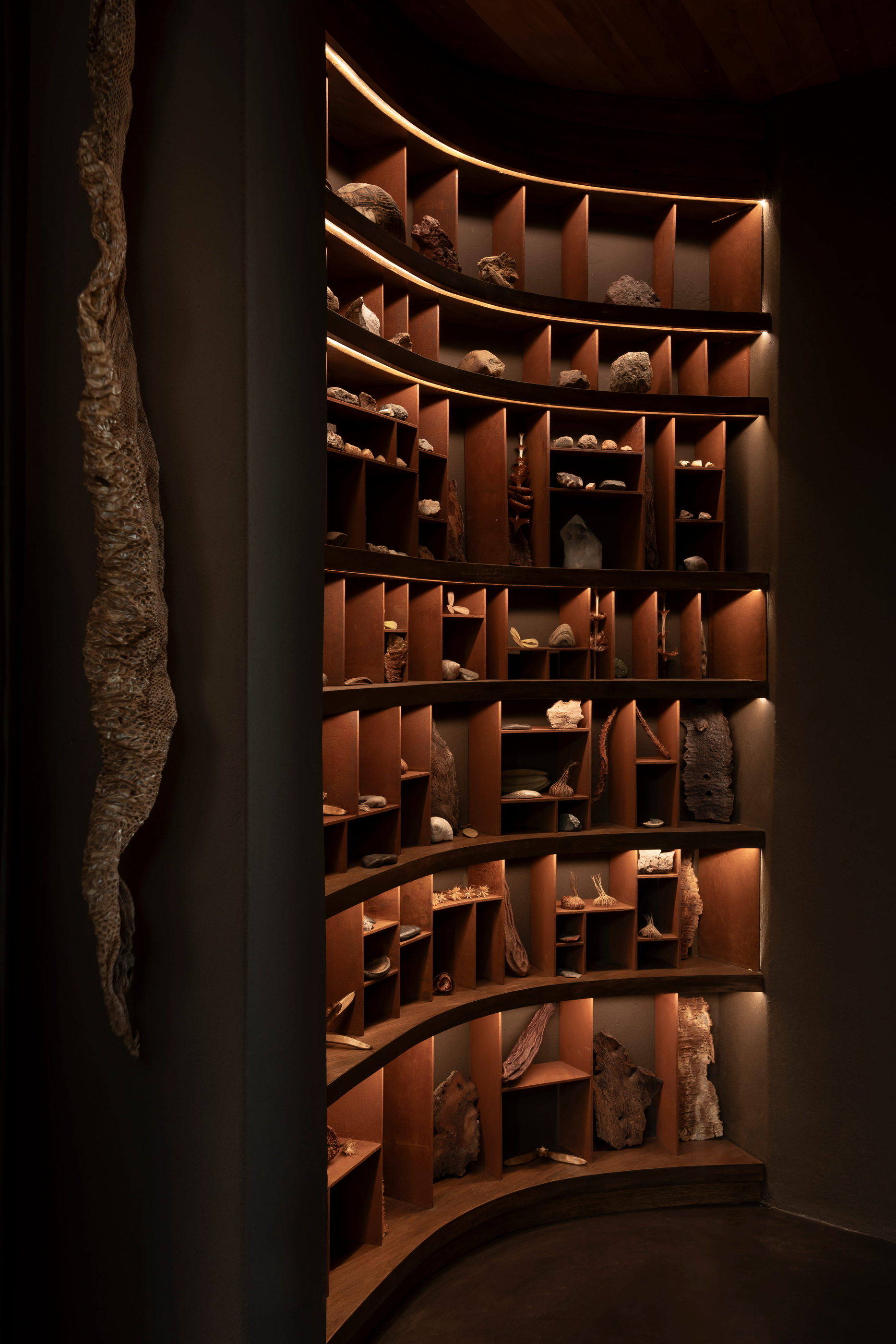 Gallery of Treasures display in the documented Lebombo evolution.