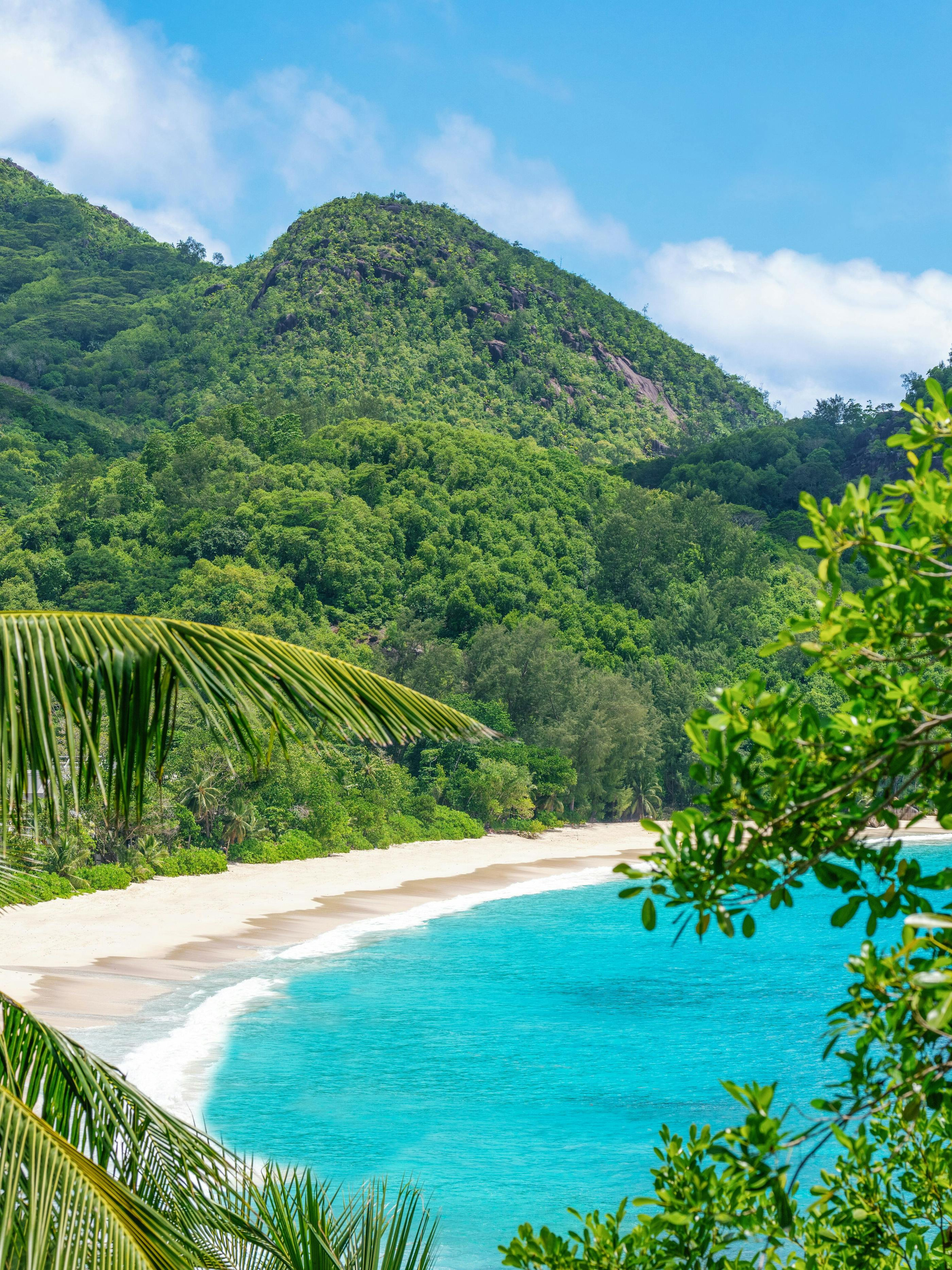 The shoreline and surrounding green hillside of Anse Intendance.