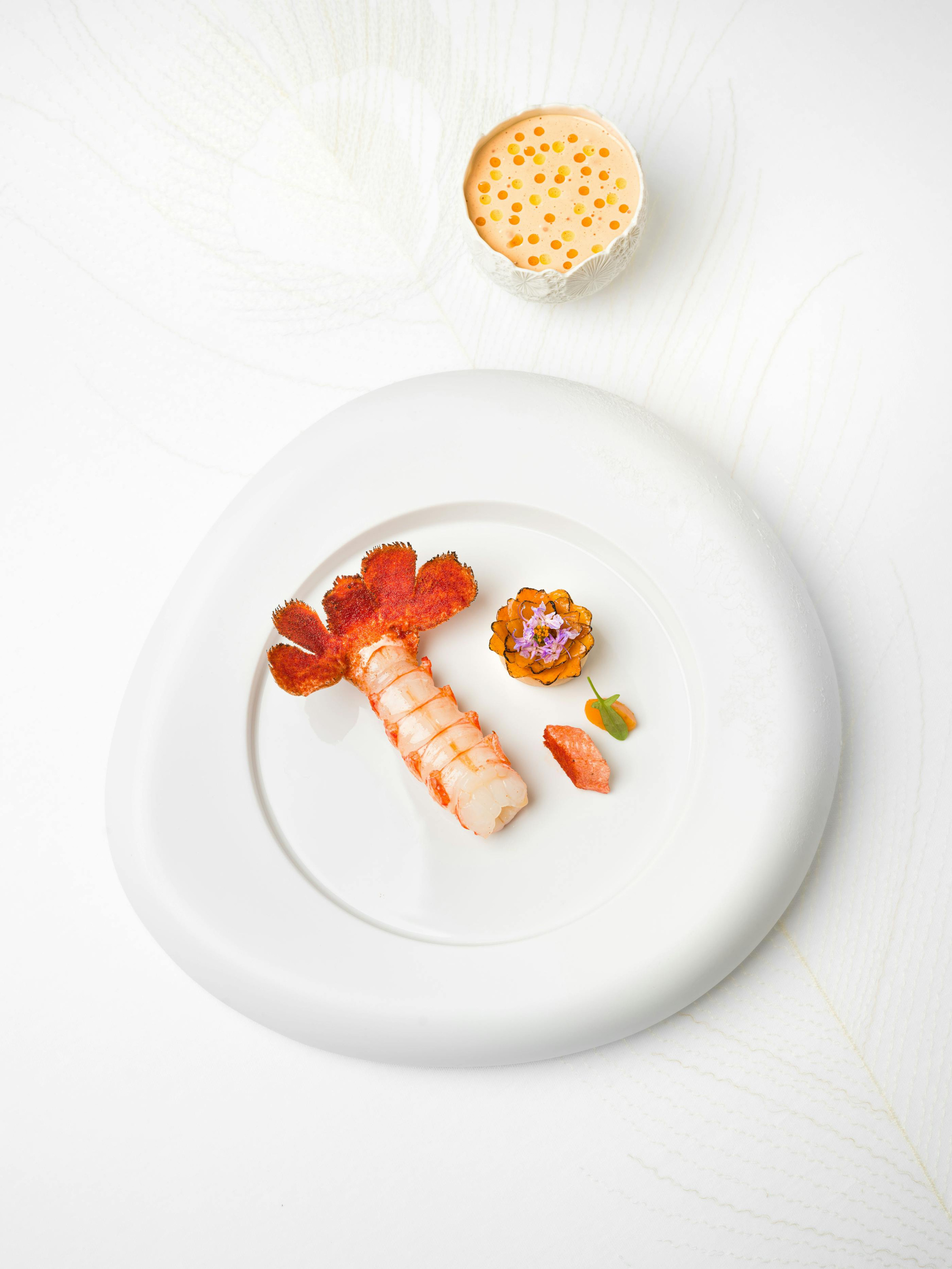 Langoustine and accompaniments in Plénitude’s official culinary imagery.