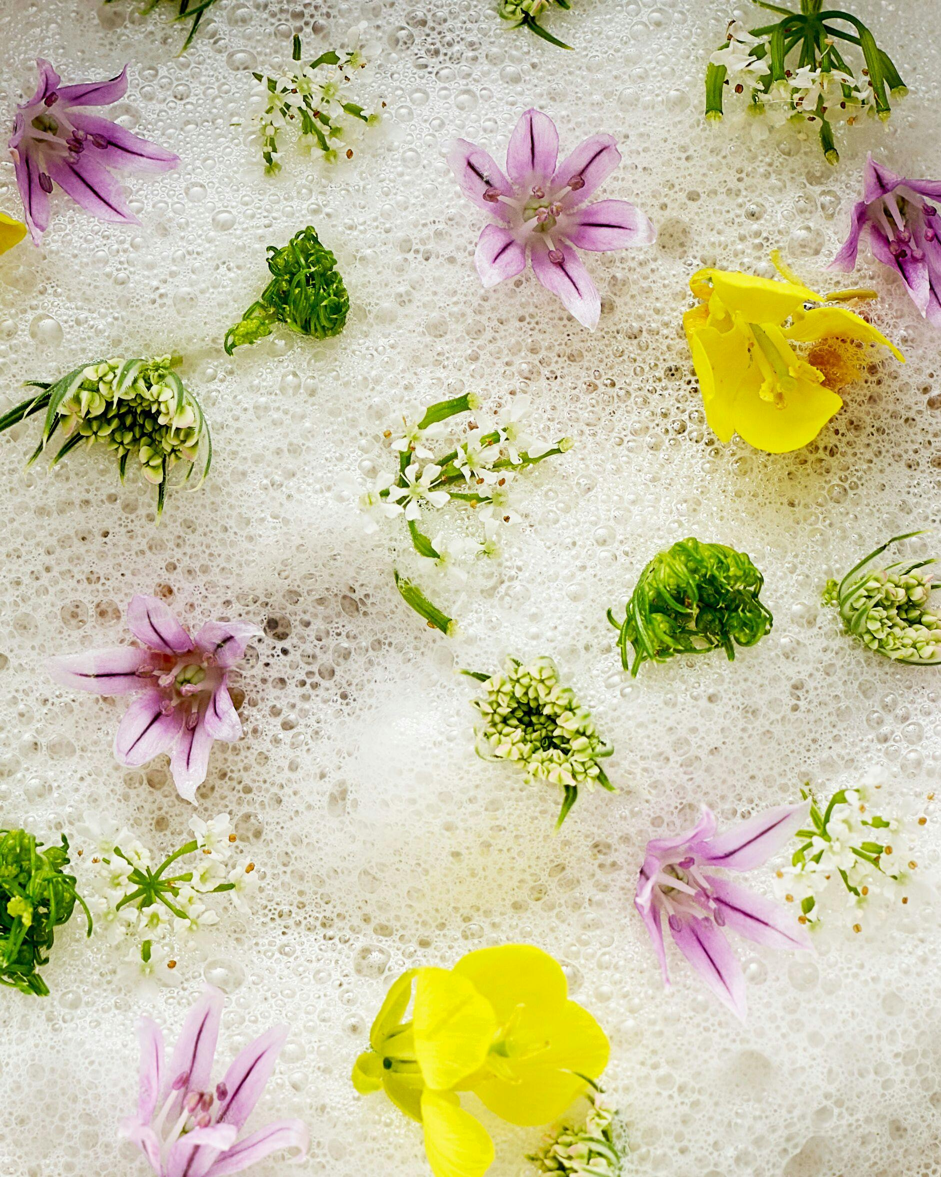 Close detail of a current Plénitude culinary composition.