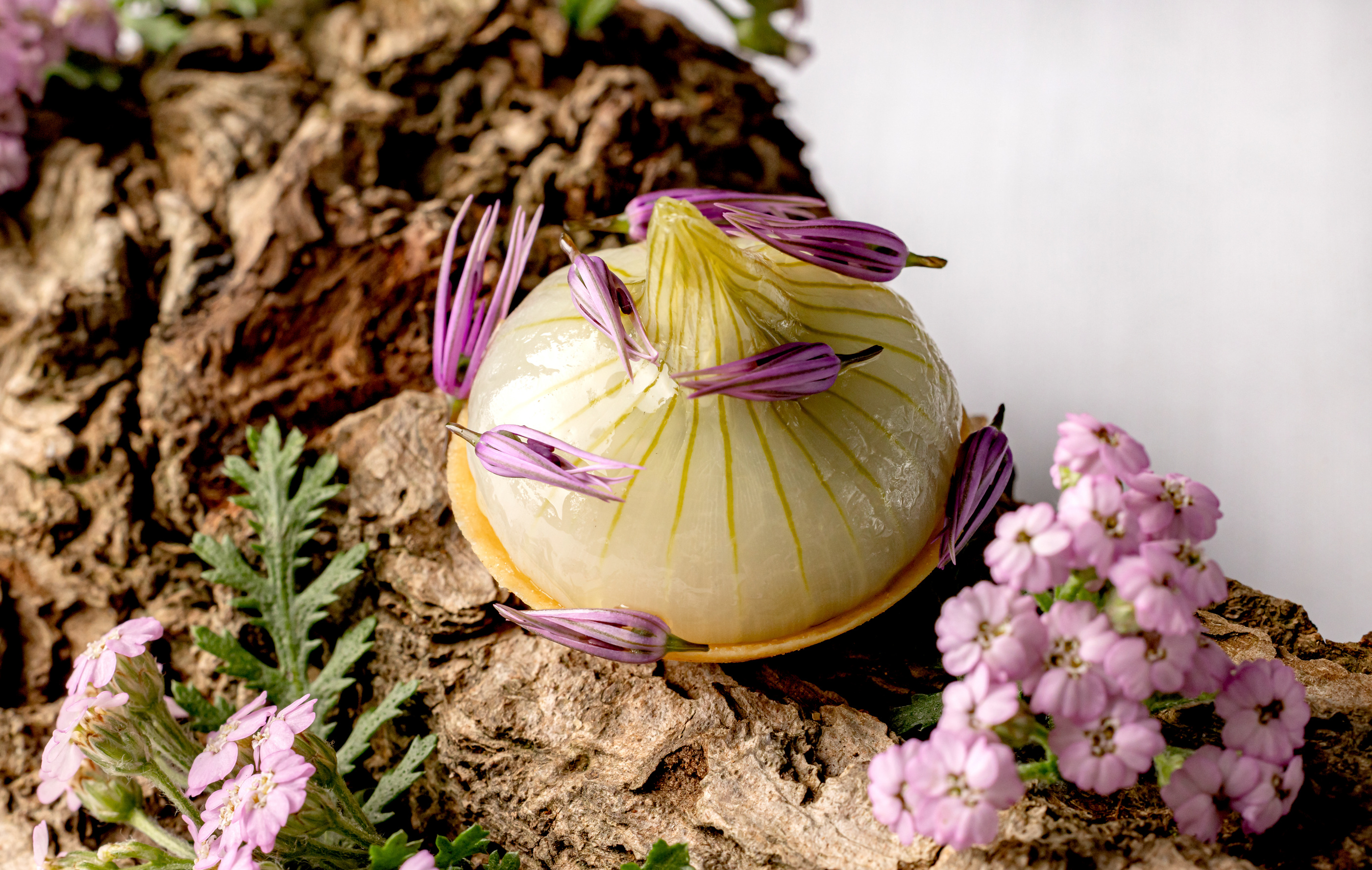 Vegetable and botanical composition from the official Mauro Colagreco image sequence.