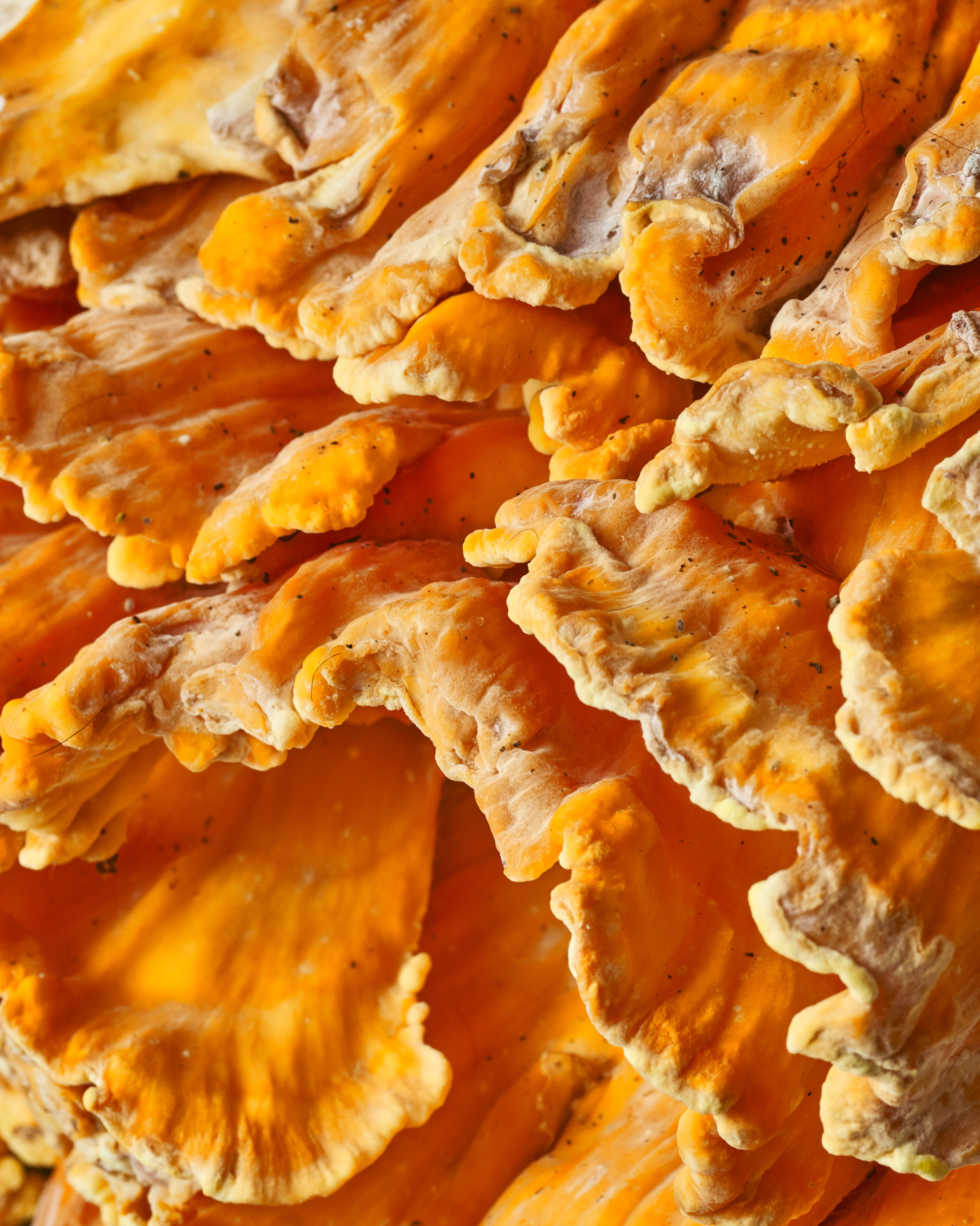 Fungi in an official ingredient photograph from the restaurant’s page.