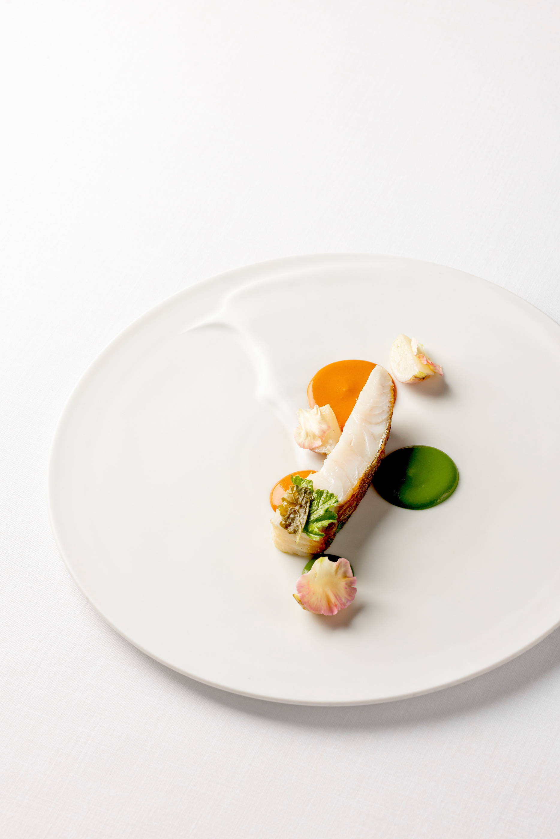A plated composition in Mauro Colagreco’s current official gallery.