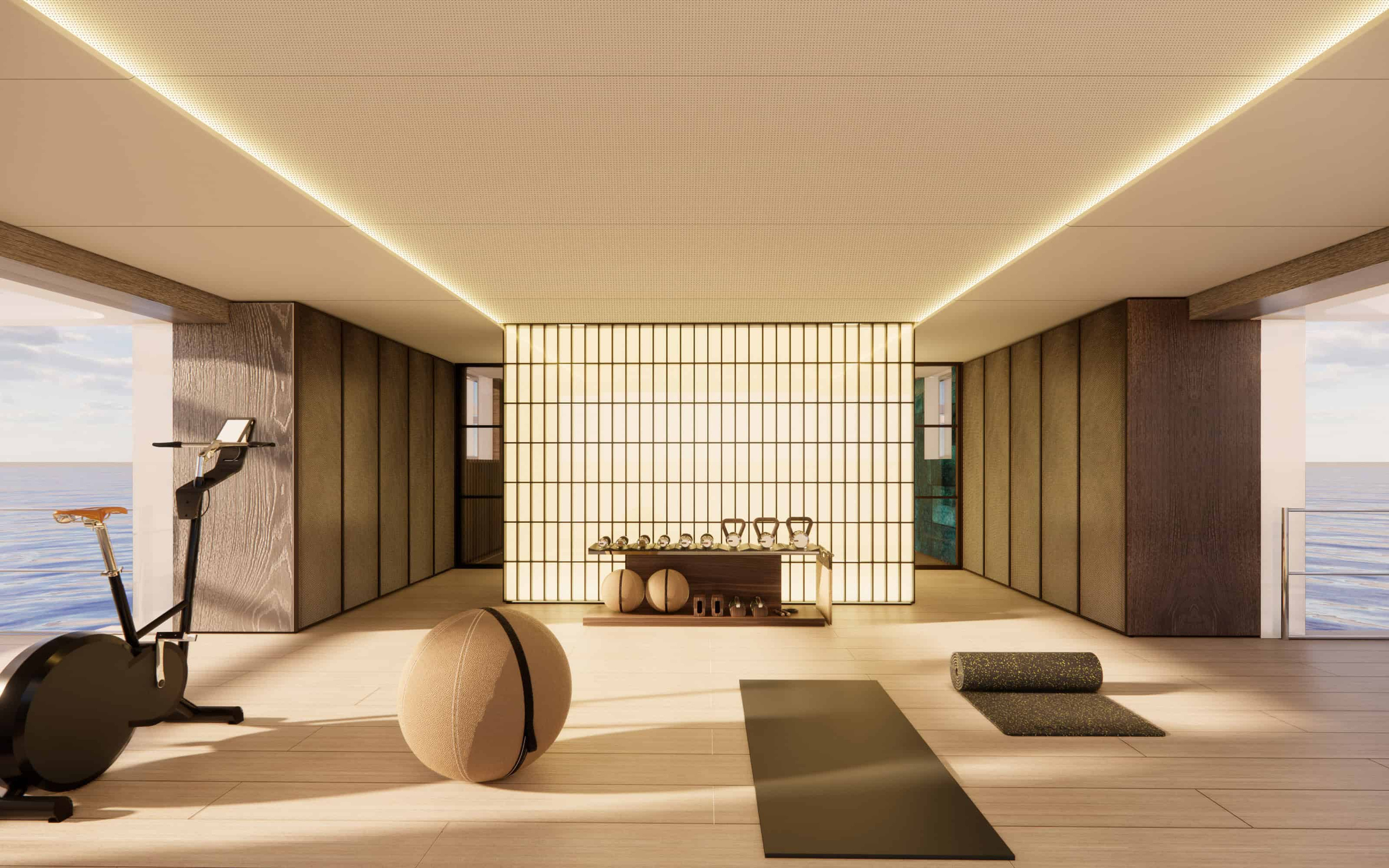 Optional Oasis 42M multipurpose/wellness arrangement, shown as an official visualisation.