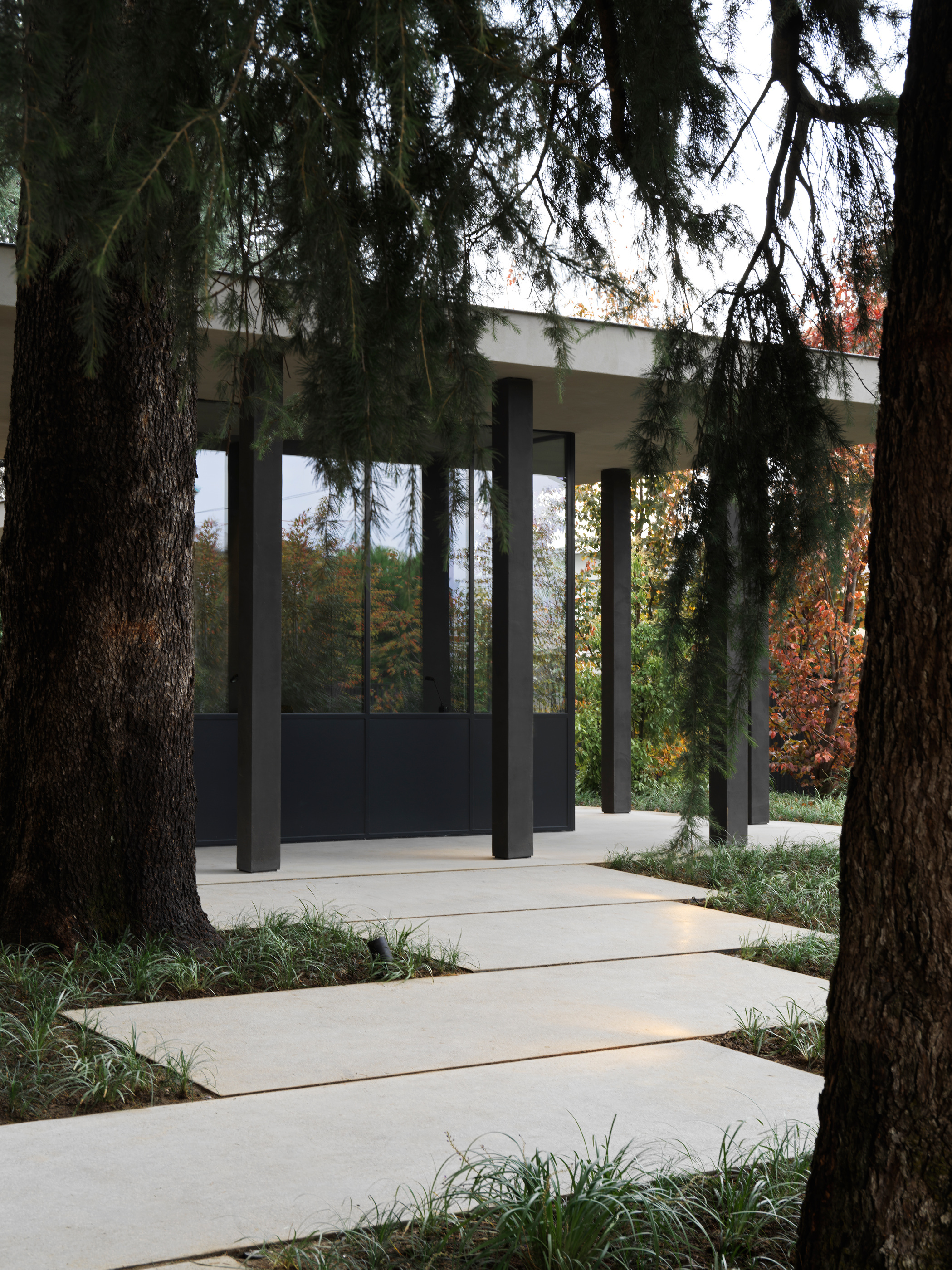 A vertical view of the Pavilion edge beside mature planting.