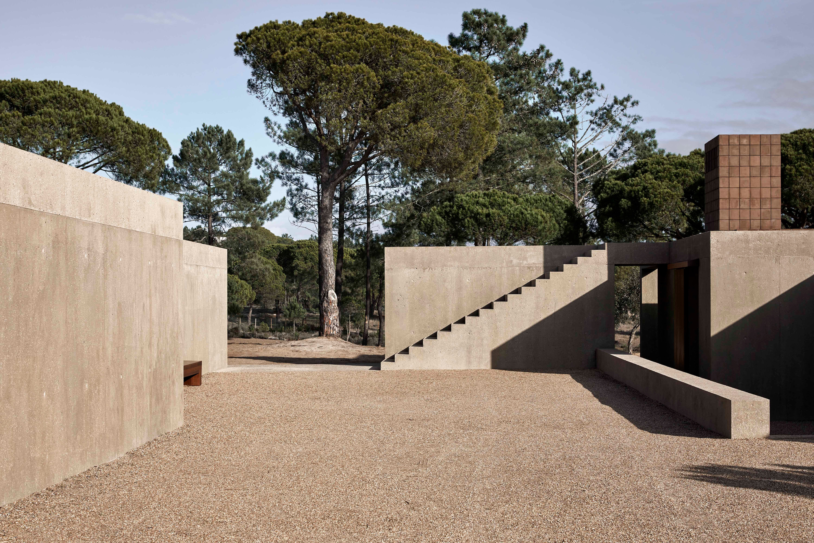 The court, trees and external stair as documented by the architects.