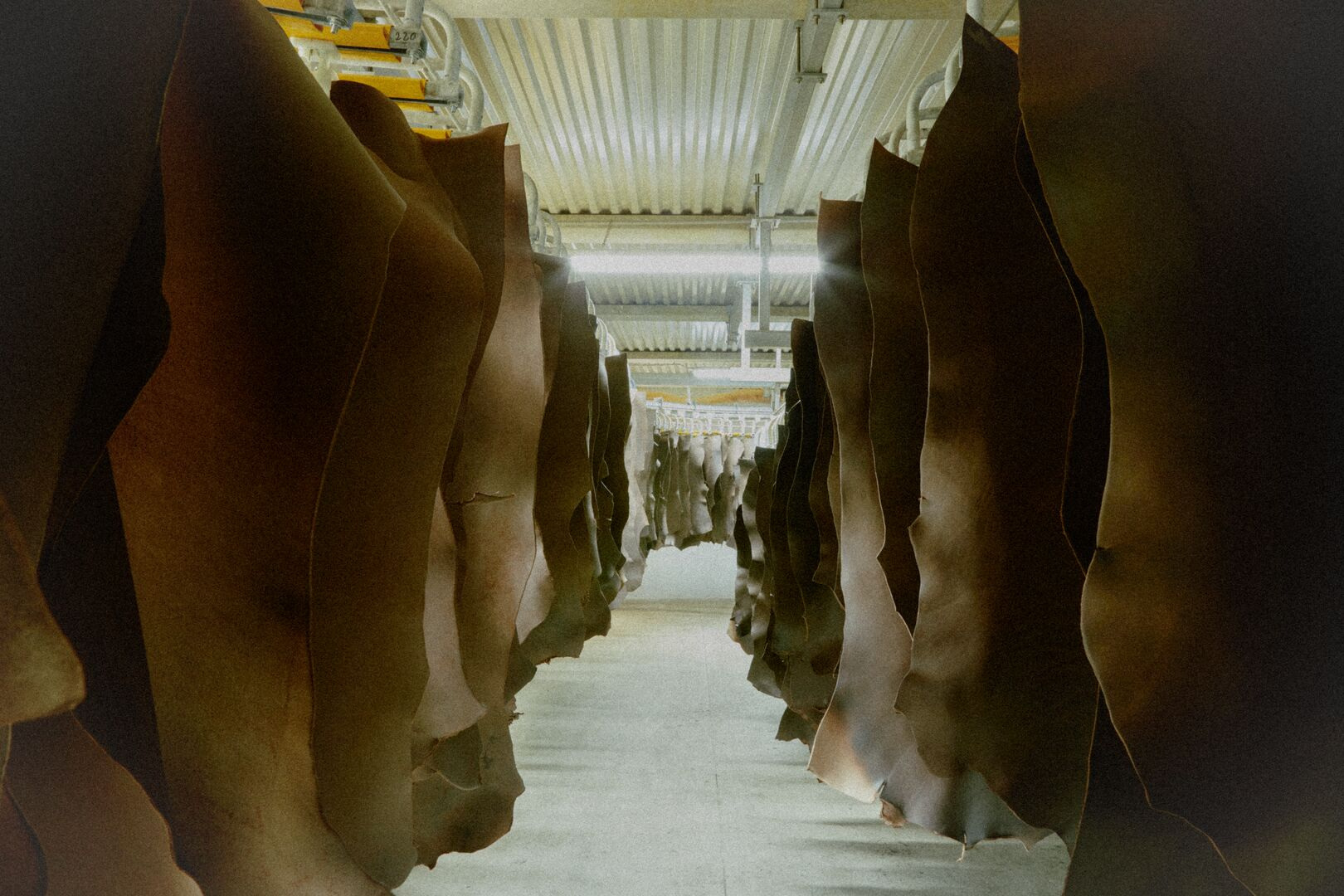 Hides in the documented working environment; no factory visit is claimed.