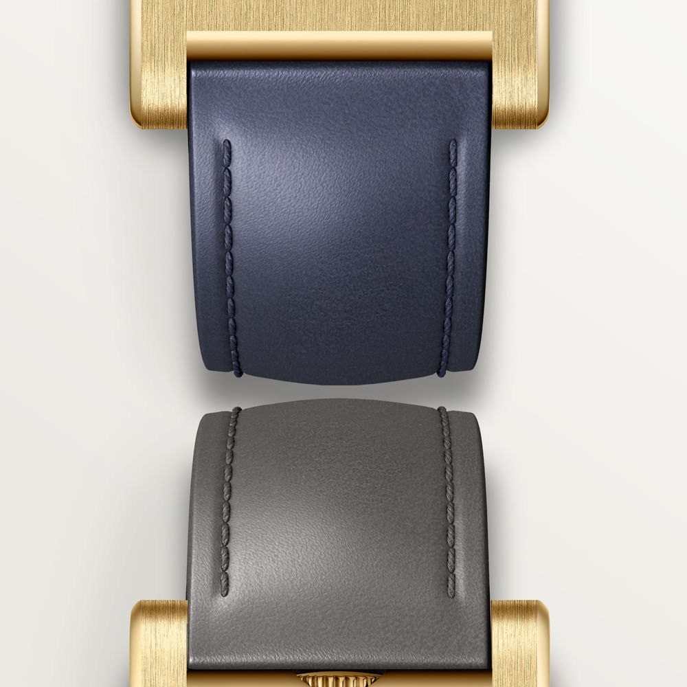 Straps illustrated with the regional WGTA0389 product record; distinct from the green launch styling.